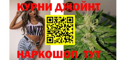 PSILOCYBIN Кудрово