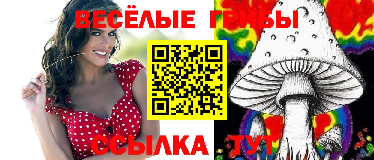 Галлюциногенные грибы Psilocybine cubensis  Вход с VPN  Аргун 